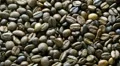 Coffee beans 1080P HD Footage