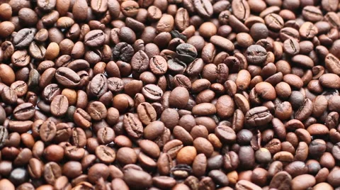 The Coffee Beans 12 Looped Stock Footage 44399230