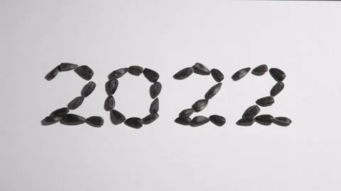 Coffee beans 2022 Video stock 162776643