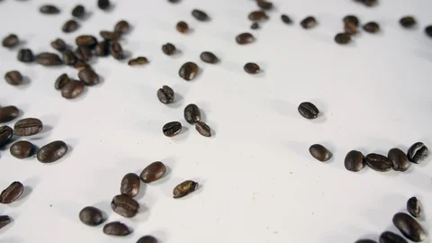 Coffee beans from above sprinkled onto a white background, Stock Footage 88513584