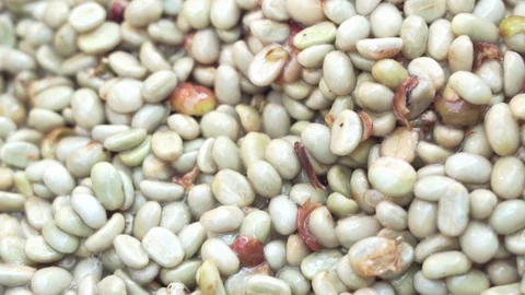 Coffee beans after peeling off. Stock Footage 129834451