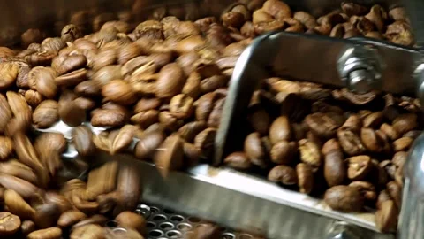 Coffee beans after roasting are mixed on the cooling plate. Stock Footage 310846196