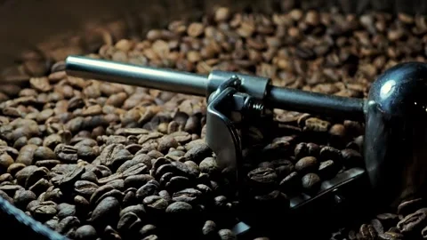 Coffee beans after roasting are mixed on the cooling plate. Stock Footage 310846203