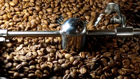 Coffee beans after roasting are mixed on the cooling plate. Stock Footage 310846207