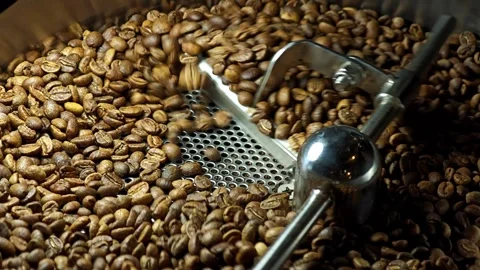 Coffee beans after roasting are mixed on the cooling plate. Video stock 310846210