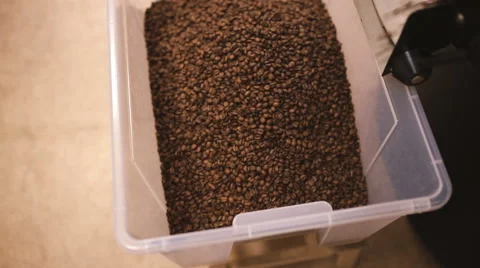 Coffee beans after roasting pour into a container. Close-up Stock Footage 58957630