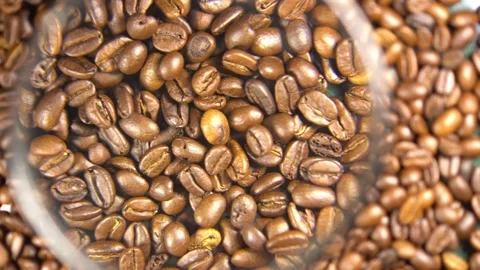 Coffee beans and check the quality from roasting machines Stock Footage 308024659