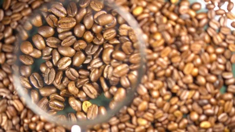 Coffee beans and check the quality from roasting machines Stock Footage 308025349