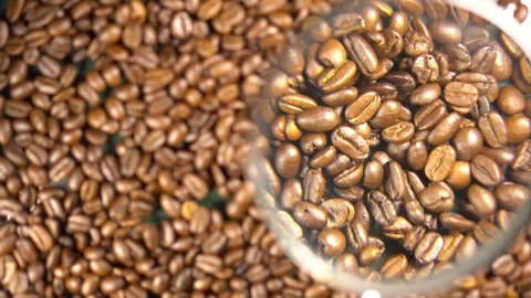 Coffee beans and check the quality from roasting machines Stock Footage 308025395