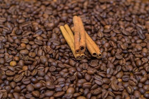 Coffee beans and cinnamon Stock Photos
