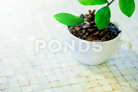 Coffee beans and green leafs in a white cup on a table Stock Photos