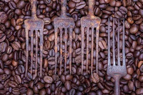 Coffee beans and old fork still life Stock Photos