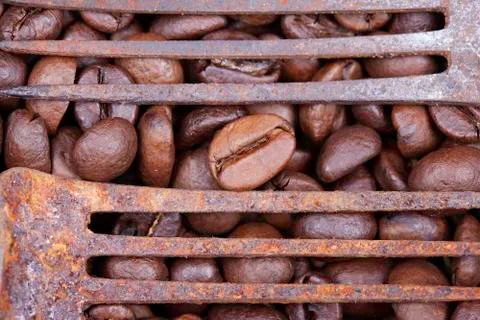 Coffee beans and old rusty forks abstract still life Stock Photos