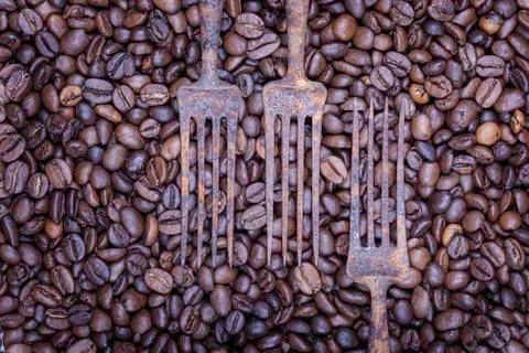 Coffee beans and old rusty forks abstract still life Stock Photos