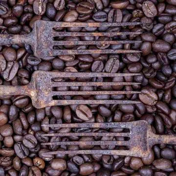 Coffee beans and old rusty forks abstract still life Stock Photos