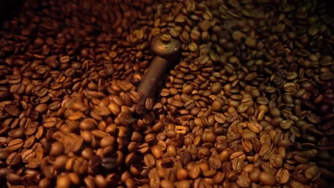 Coffee Beans And Roaster Machine Stock Footage 168384798