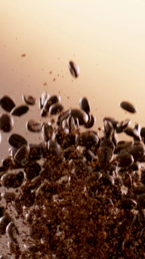 Coffee, beans and studio with cocoa for advertising or marketing mocha on a Stock Footage 340612934