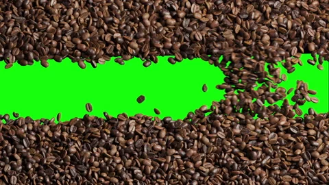 Coffee beans animation blown movement for transition isolate on green screen Video stock 283560742