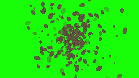Coffee beans appear and disappear on green screen. Stock Footage 313043174