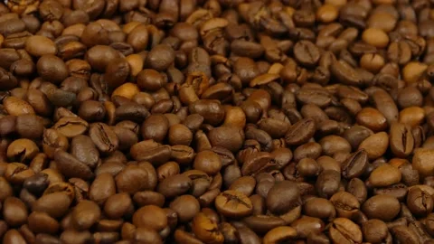 Coffee beans approach Stock Footage 232435632