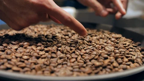 Coffee beans are being selected in a coffee shop in Medellin, Colombia Vídeo Stock 101707955