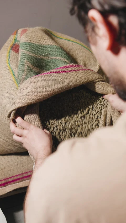 Coffee beans are being sorted and inspected in a burlap sack during the roasting Stock Footage 321765803