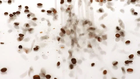 Coffee beans are falling down like rain Stock Footage 143830891