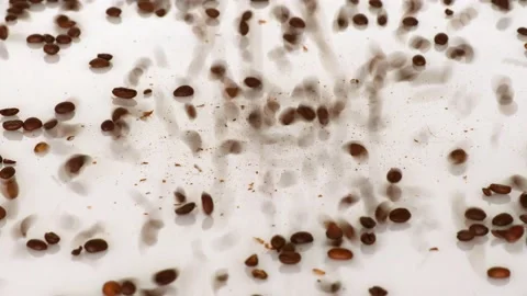 Coffee beans are falling down like rain Stock Footage 143832149