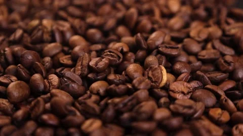 Coffee beans are falling down  cafe bar restaurant cocoa Stock Footage 176389963