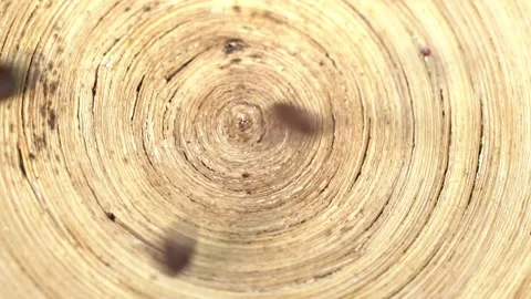 Coffee beans are falling, slow motion. Coffee beans rotation close-up. Stock Footage 137837121