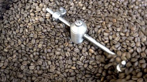 Coffee beans are mixed in the drum of the roasting machine Stock Footage 101625762