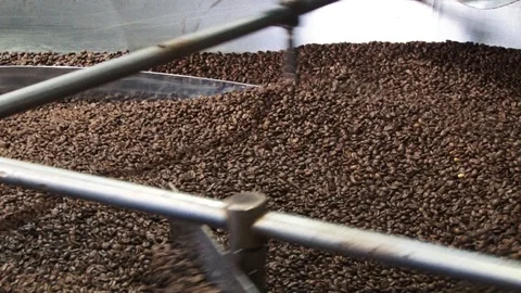 Coffee beans are mixed Stock Footage 91203200