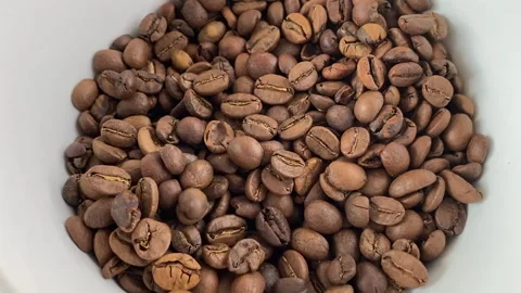 Coffee beans are poured into a bowl. Stock Footage 237446863