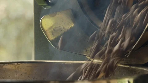 Coffee beans are poured into a container Stock Footage 104960869