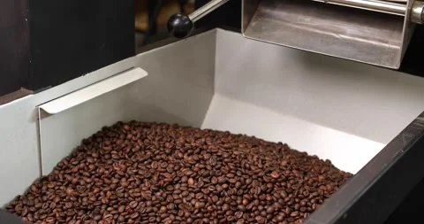 Coffee beans are poured into a modern roasting machine. Lots of coffee in the Stock Footage 239057860