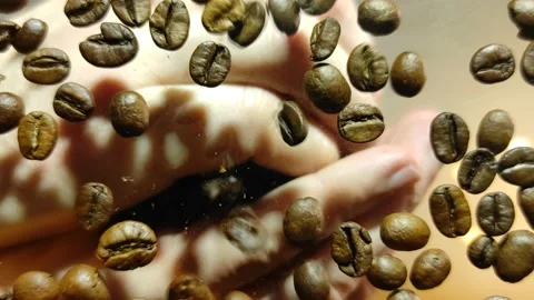 Coffee beans are poured out of men's palms Stock-Footage 147205053