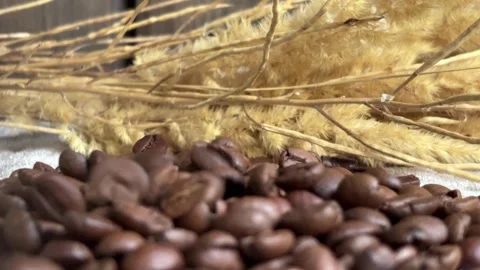 Coffee beans are pouring onto the table. Stock Footage 284224485