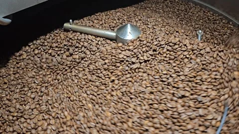 Coffee Beans Are Roasted In A Machine Stock Footage 296097562