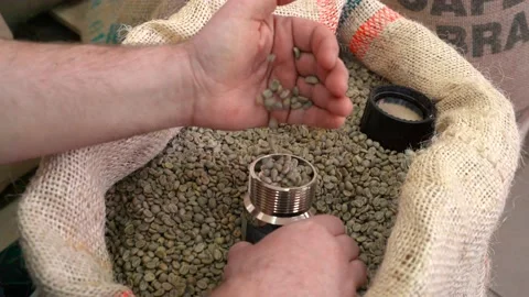 Coffee beans are roasting, view in the round hole. Video Stock Footage 219530432