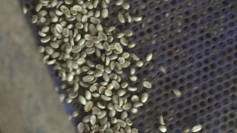 Coffee beans are selected by weight in coffee factory. slow motion. Video stock 116048596