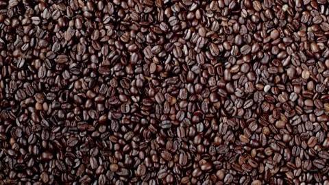 Coffee Beans Are Sliding Down A Surface Stock Footage 254998133