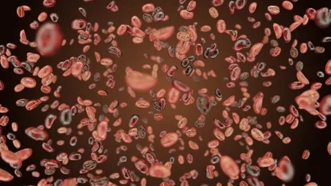 The coffee beans are tumbling down. Stock Footage 287421836