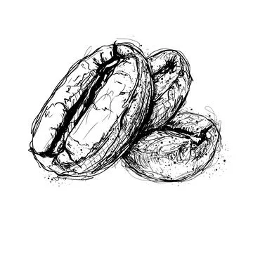 Coffee beans arranged on a plain background showing details of their shape .. Stock Illustration