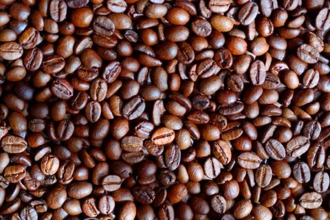 Coffee beans background 7 Stock Photos