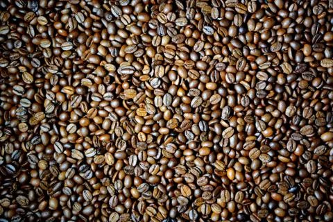 Coffee beans background 8 Stock Photos