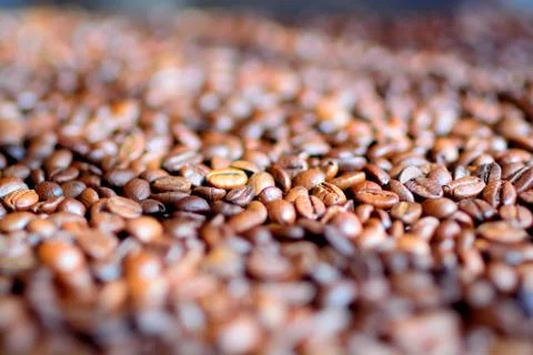 Coffee beans background with blur	2 Stock Photos
