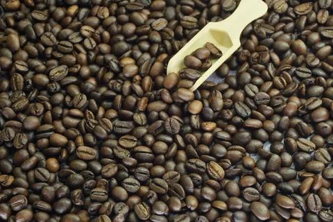 Coffee Beans Background. Close Up. Stock Photos