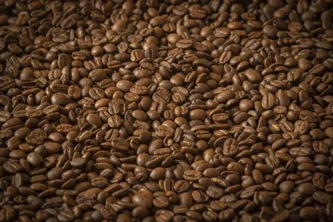 Coffee beans background. Coffee background for the site Stock Photos