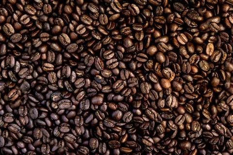 Coffee beans background. Coffee pattern. Stock Photos