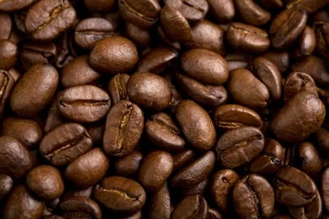 Coffee beans background 写真素材